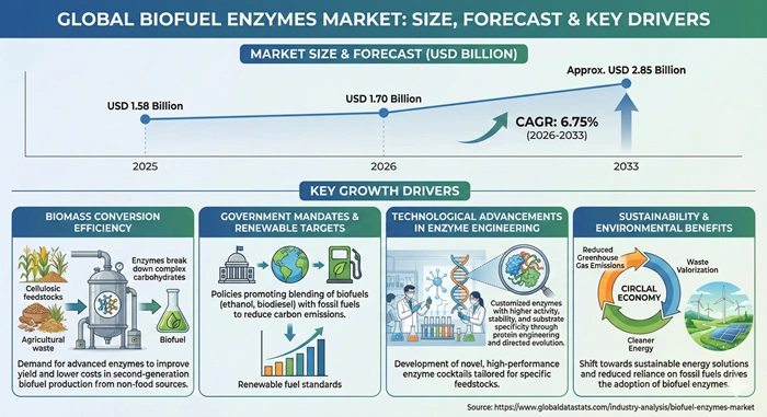 Biofuel Enzymes Market Size to Hit USD 2.85 Billion by 2033